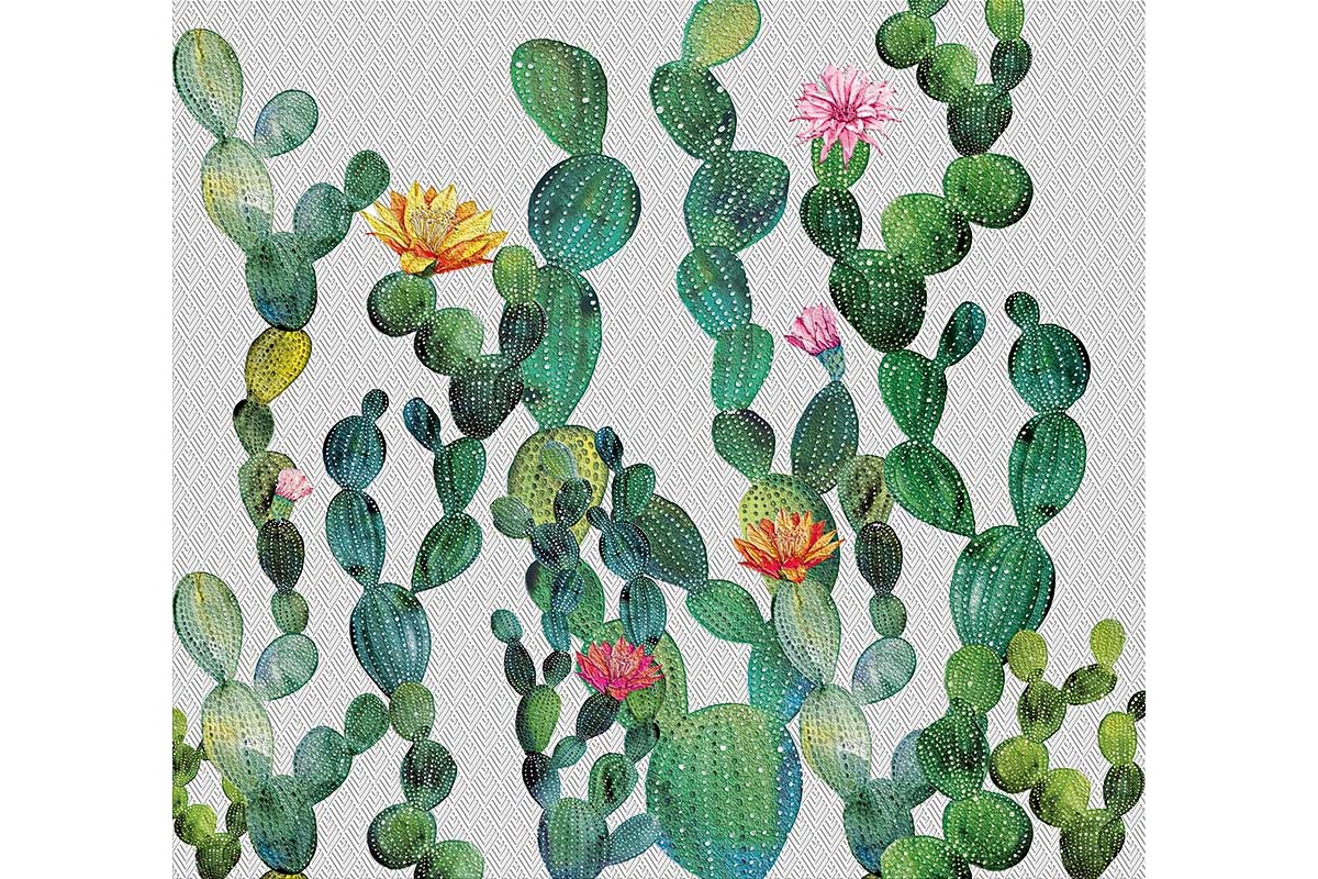 CACTUS