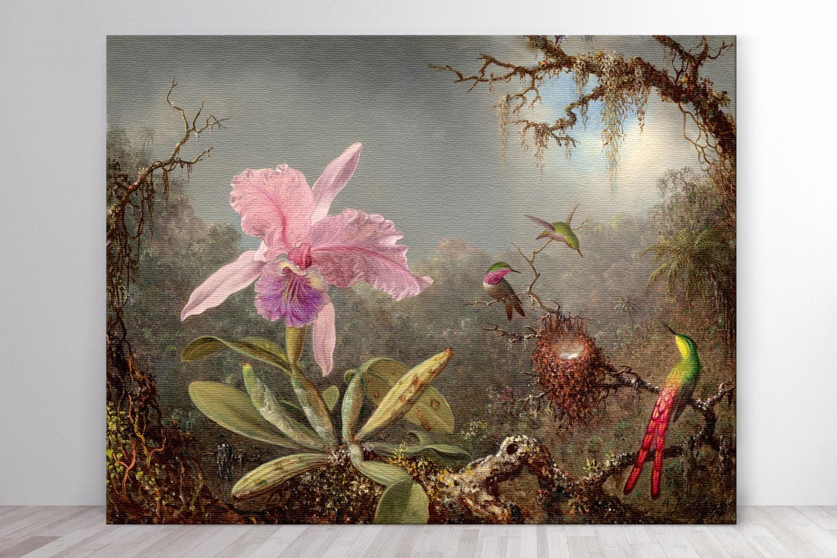 CATTLEYA ORCHID AND THREE HUMMINGBIRDS - MARTIN JOHNSON HEADE  