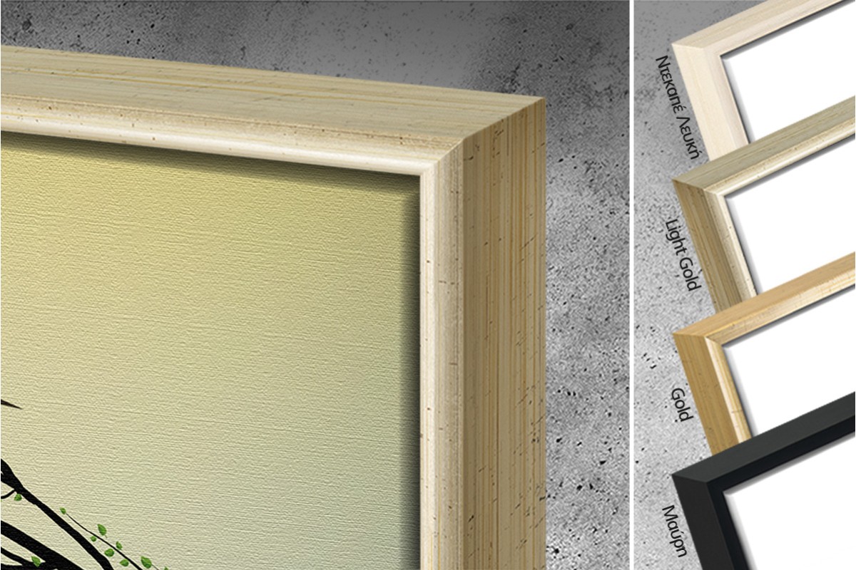 Η ΚΑΡΔΙΑ ΤΗΣ ΦΥΣΗΣ