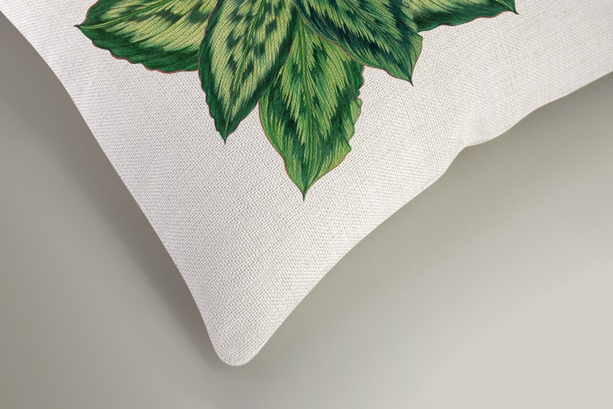 ΠΡΑΣΙΝΑ ΦΥΛΛΑ ΖΩΗΣ