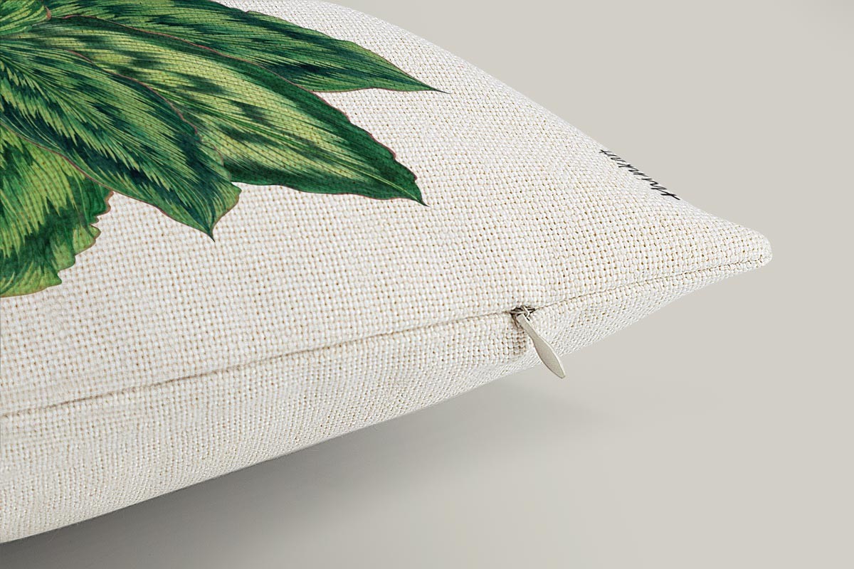 ΠΡΑΣΙΝΑ ΦΥΛΛΑ ΖΩΗΣ