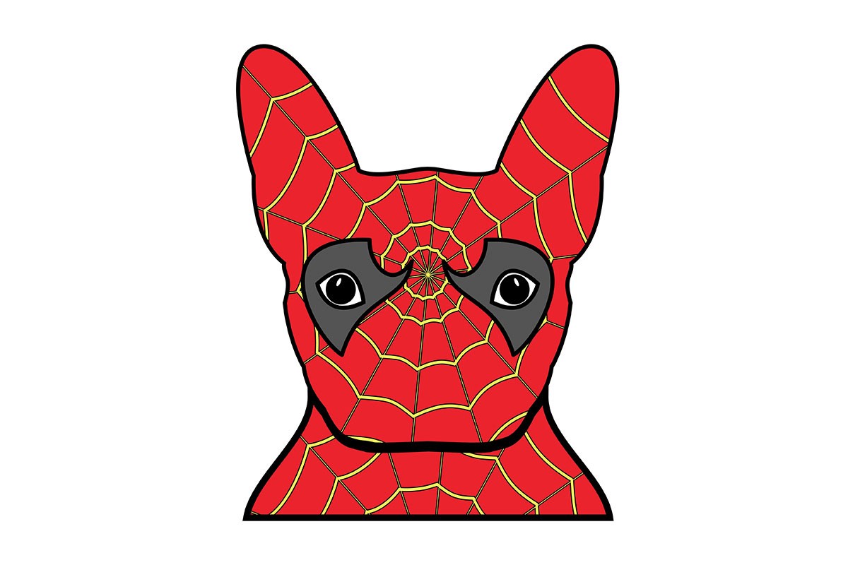 SPIDER DOG, Ο ΣΚΥΛΟΣ ΑΡΑΧΝΗ