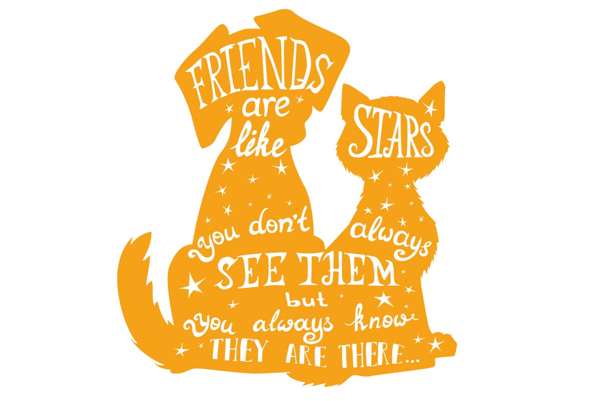 ΣΚΥΛΑΚΙΑ, FRIENDS LIKE STARS