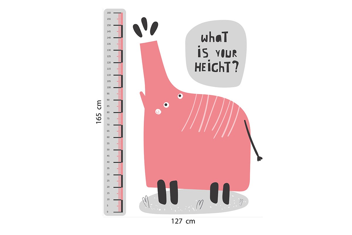 WHAT IS YOUR HEIGHT?