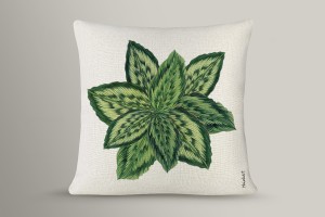 ΠΡΑΣΙΝΑ ΦΥΛΛΑ ΖΩΗΣ