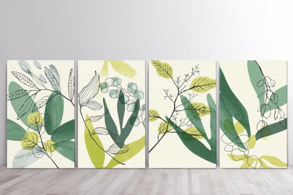 ΔΡΟΣΕΡΗ ΦΥΛΛΩΣΙΑ