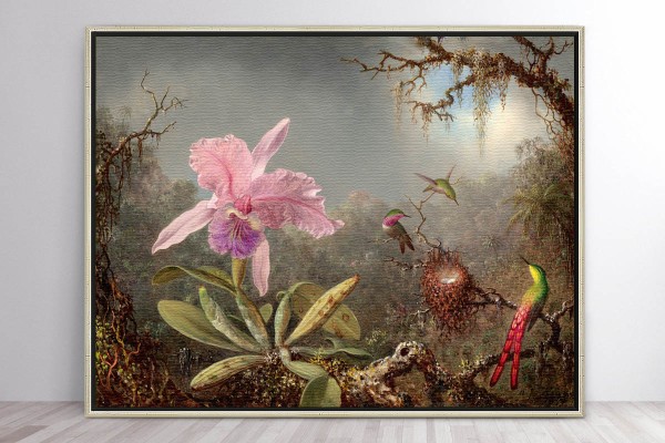 CATTLEYA ORCHID AND THREE HUMMINGBIRDS - MARTIN JOHNSON HEADE  