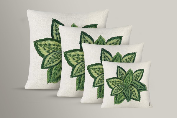 ΠΡΑΣΙΝΑ ΦΥΛΛΑ ΖΩΗΣ