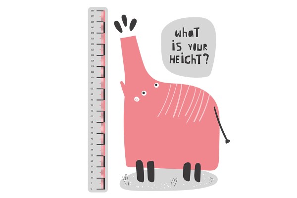 WHAT IS YOUR HEIGHT?